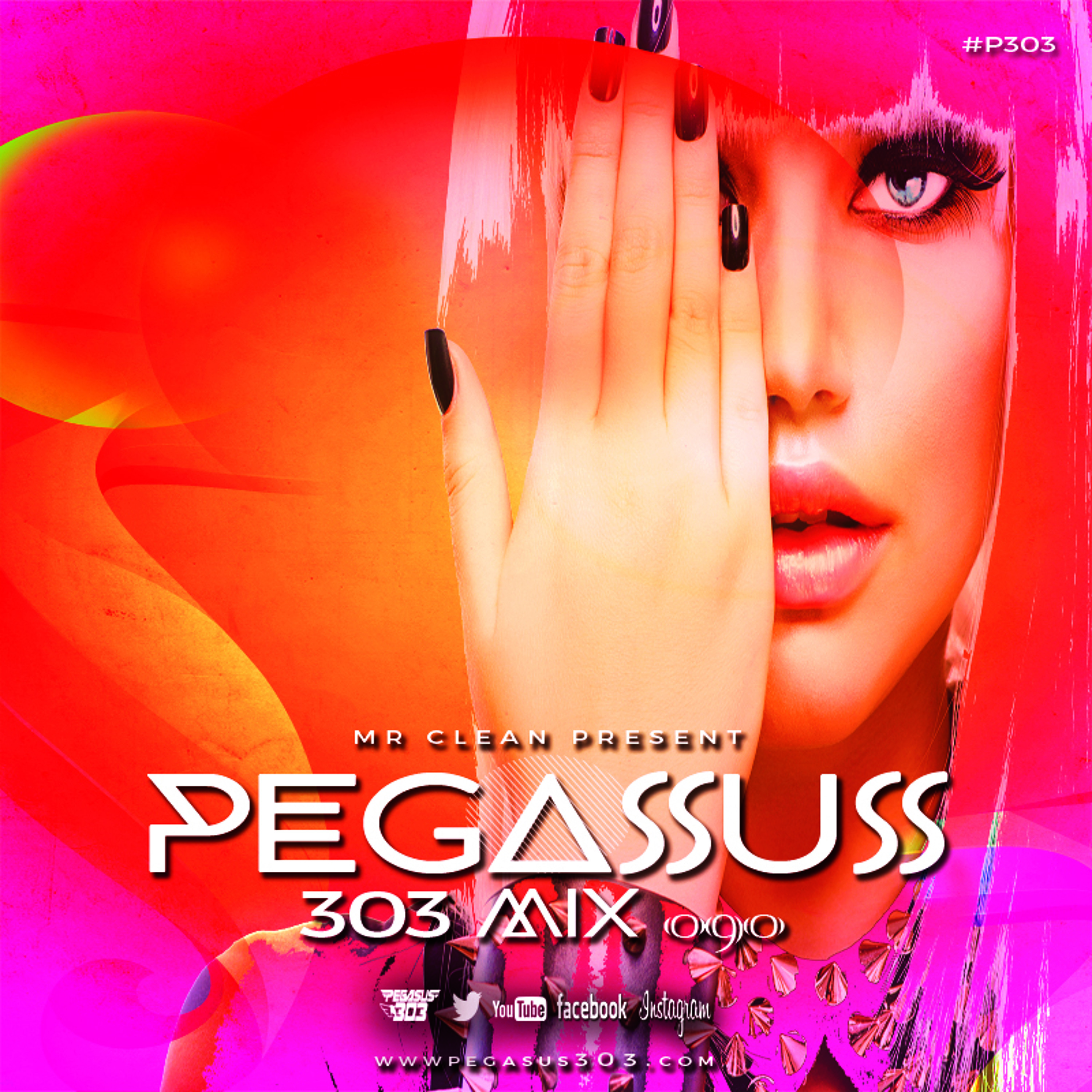 Pegasus 303 (mrclean)