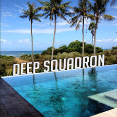 Deep Squadron (August 2015 Tech Indie Deep House Mix)