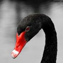 Drastik - Born - A-Black - Swan.mp3