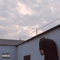 08.SLANG PROD. DOLIN