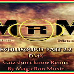 DMX - Catz Don't Know (MRM Remix)