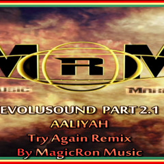Aaliyah - Try Again (MRM remix)