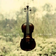 Saltillo - A Necessary End
