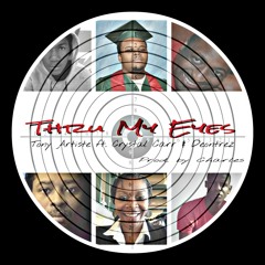 Thru My Eyes