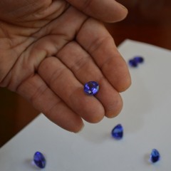 Day 4 Tanzanite Gem Hunt 2015.MP3