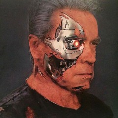The Cyberdyne Network - Stage 4