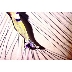 No Diggity/Thrift Shop Cover