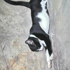 เพลงวันแม่​ Version  สลอต. (สัตว์โลกอมตีน)