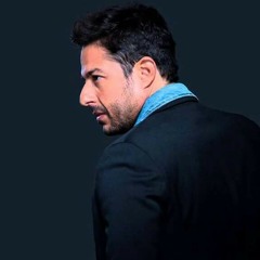 محمد حماقى
