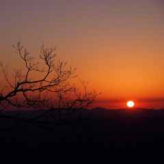in the Distance