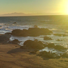 FRUIT RASPUTIN HERR HOTTER MMA 08 08 2015 MUNICH 224