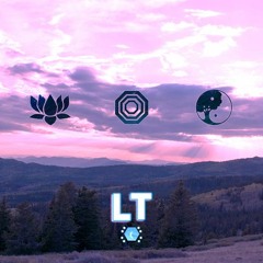 Lunar Transit Festival - Damian Ardenne - Lotus Stage