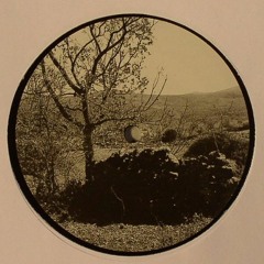 DICES presents UNTITLED GEAR - FIELDS & FORESTS 1 - 12" - Repress in stock