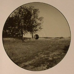 A5 - FIELDS & FORESTS 2 - 12" - In stock