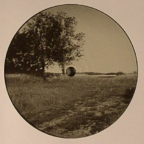 A5 - FIELDS & FORESTS 2 - 12" - In stock