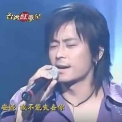 王傑-是否我真的一無所有 安妮 你是我胸口永遠的痛 一場游戲一場夢