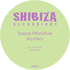 Sasha PRimitive - Mystery (Toly Braun Remix)