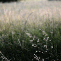 Kamilė - Why Try (feat. Tomas)