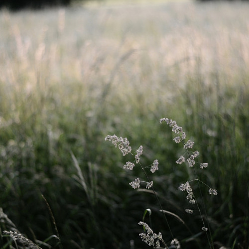 Kamilė - Why Try (feat. Tomas)