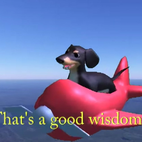 Dog Of Wisdom