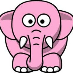 Pink Elephant (Prod. By SMP)