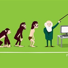 Creación o Evolución