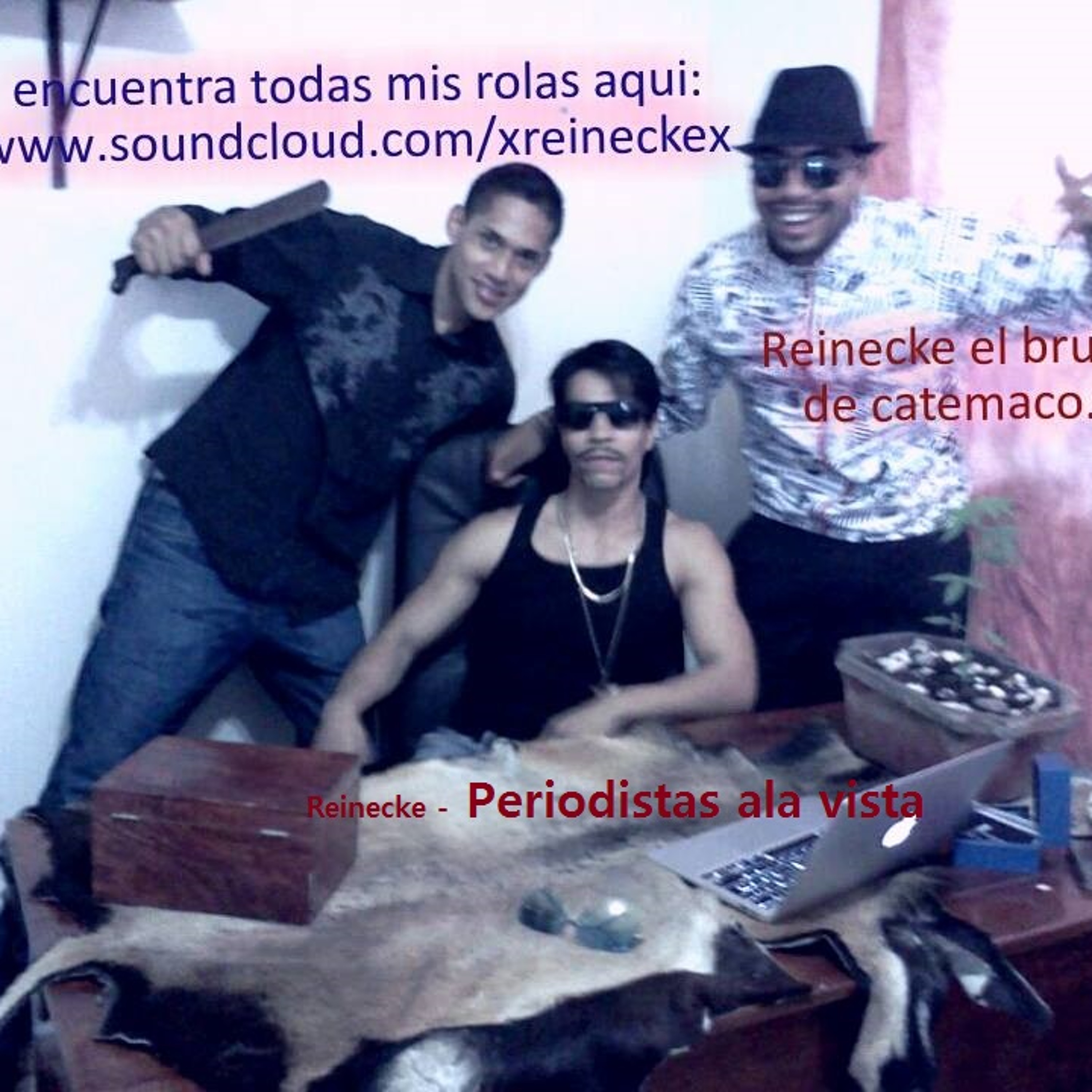 Reinecke - Periodistas Ala Vista Remasterizada episode artwork