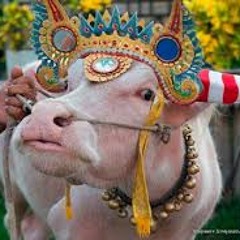 ระบำนางควาย(การละเล่น)