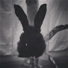 Dusty Piece of Space