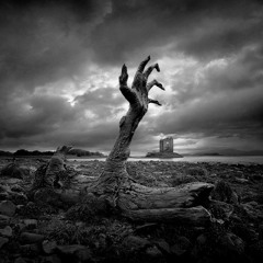 Code Pandorum - Remember Me (Disorder Type remix)