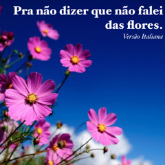 Pra não dizer que não falei das Flores