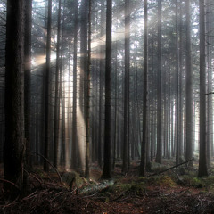 Sia - Breathe Me (Instrumental)