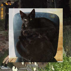 Smokey Yesterday (For Cats & Matts)