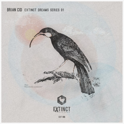 BRIAN CID  - ALLURE (ORIGINAL MIX)