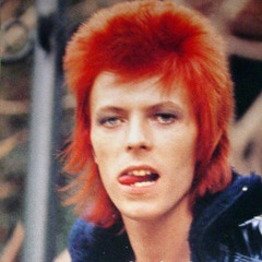 Davidbowie is ne mowie