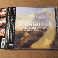 Sounguage feat.仙人掌 - T.O.T.B(Sounguage Remix)