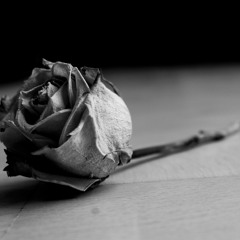 Drake x Chris Brown Type Beat "Dead Roses" (Produced by INS Beats)