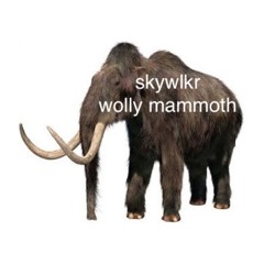 wolly mammoth