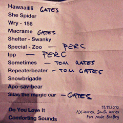 Mew Live In Seoul 2010