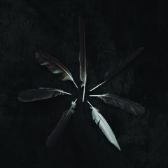 Caspian - "Run Dry"