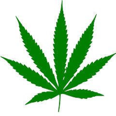 Ganja Babe - Michael Franti (cover :D :D)