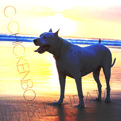 C-CHIKENBOYS / KANDATA (PellyColo Remix)