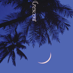 Palm Tree Cocktail [Album Preview]