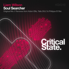 Liam WIlson - Soul Searcher ( Philippe EL Sisi Remix)