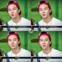 거북선(Turtleship) Mino Cut / SMTM4