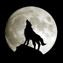 The Howl - Episode 1