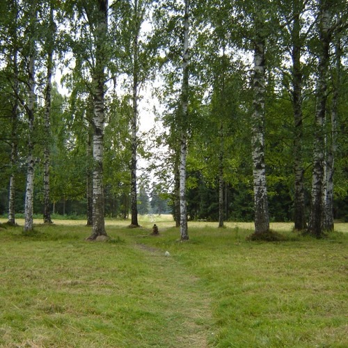 ЧИЖ и ко - 18 Берез.mp3