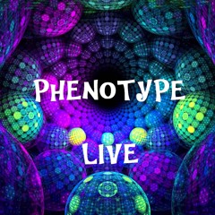 SKOGTROLL CLOSING FESTIVAL - Live Progressive 130 Bpm -