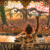 Artwork for Avalon Live At Ozora Festival 2015