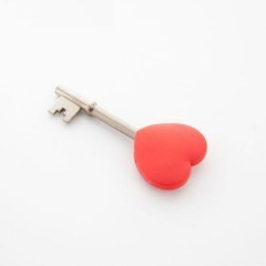 Cinta Dan Rahasia Cover